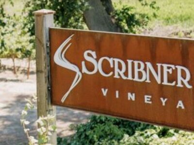 Scribner Bend Vineyards