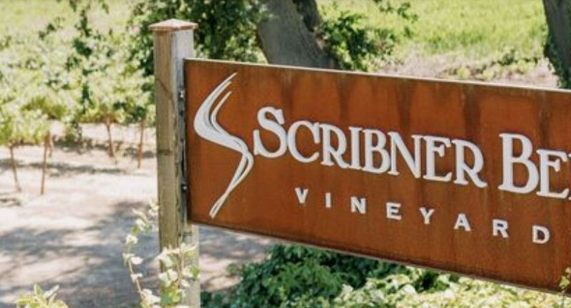 Scribner Bend Vineyards