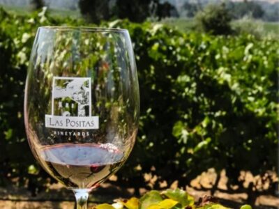 Las Positas Vineyards