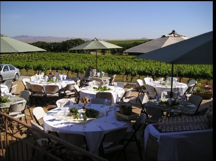 Tenuta Vineyards