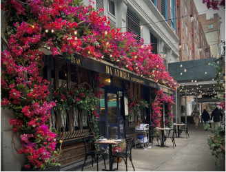 Da Andrea : Greenwich Village