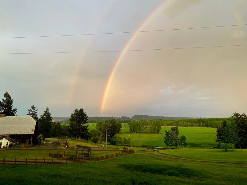 The Orchard at Sunshine Hill