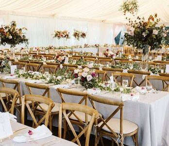 Little Wedding Blush
