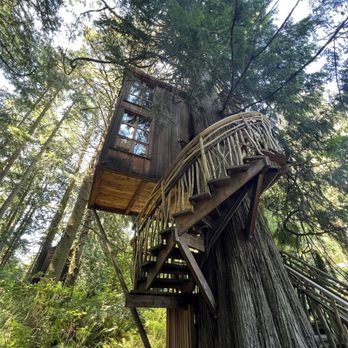 Treehouse Point