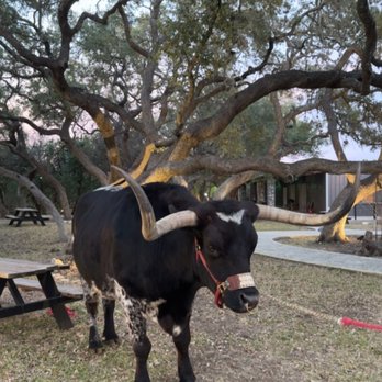 Pedrotti's Ranch