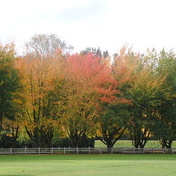 Maplehurst Farm