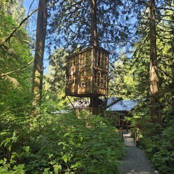 Treehouse Point