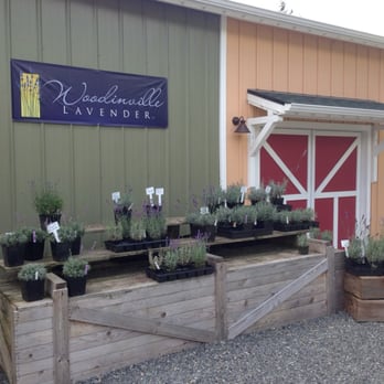 Woodinville Lavender