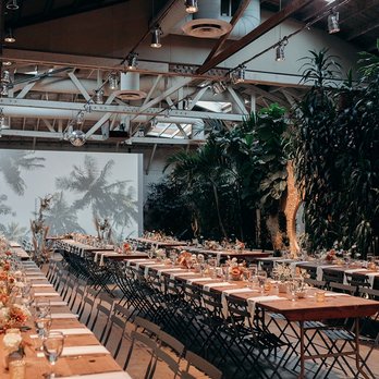 Now and Forever Love