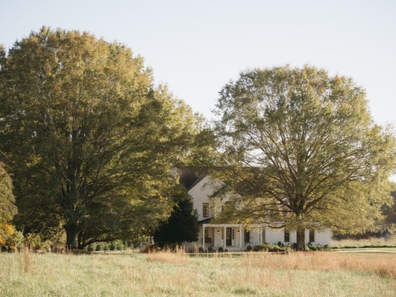 The Meadows at Firefly Farm Preserve