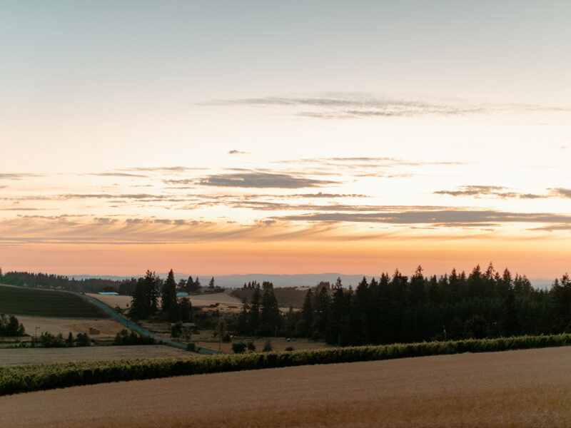 Vineyard View Celebrations