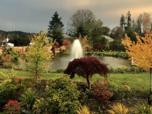 The Carey Gardens Wedding Venue