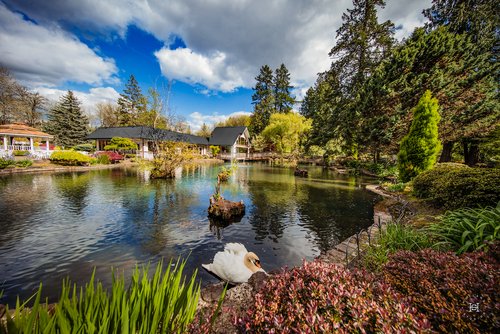 Lakeside Gardens