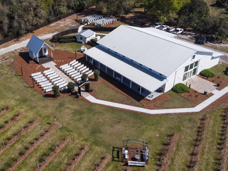 Ever After Farms Blueberry Venue