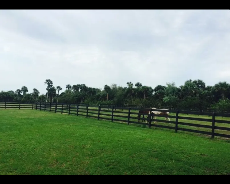 Sterling Stables