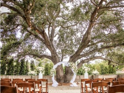 Dove Canyon by Wedgewood Weddings