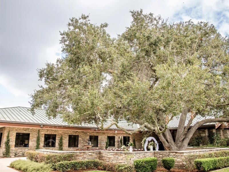 Dove Canyon by Wedgewood Weddings