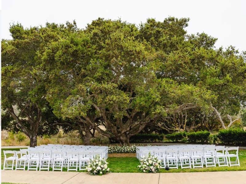 Carmel Fields