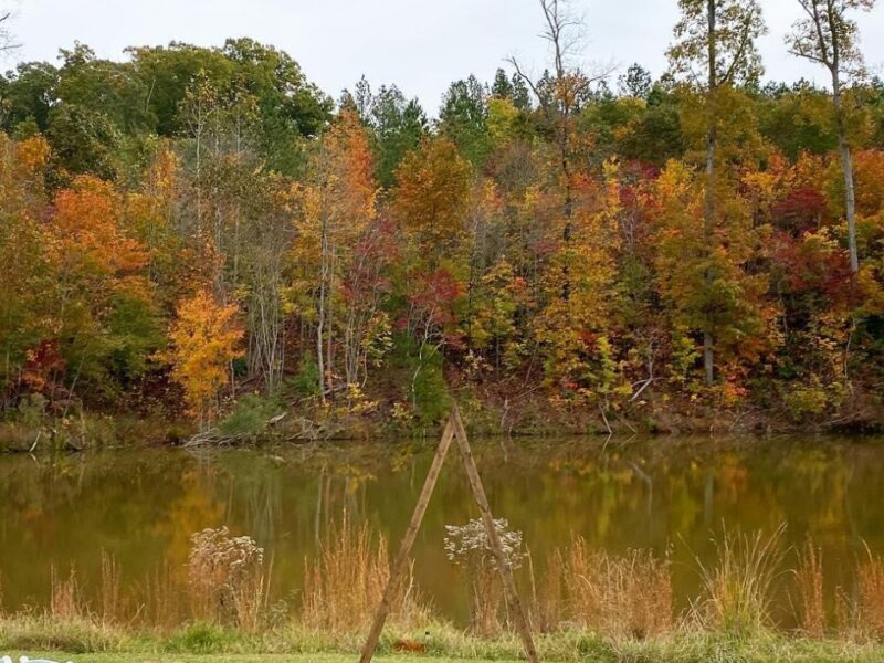 Juneberry Ridge