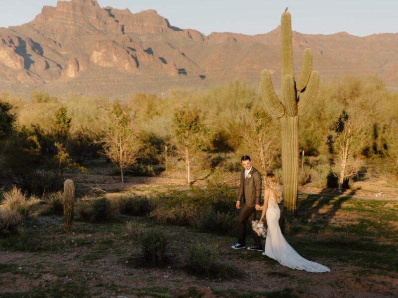 Desert View Weddings & Events