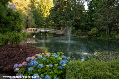 Lakeside Gardens