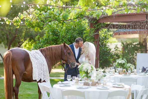 Rustic Gardens Oasis