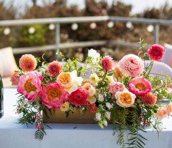 Meadows Events