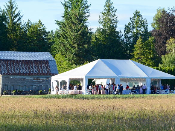 Mount Peak Farm