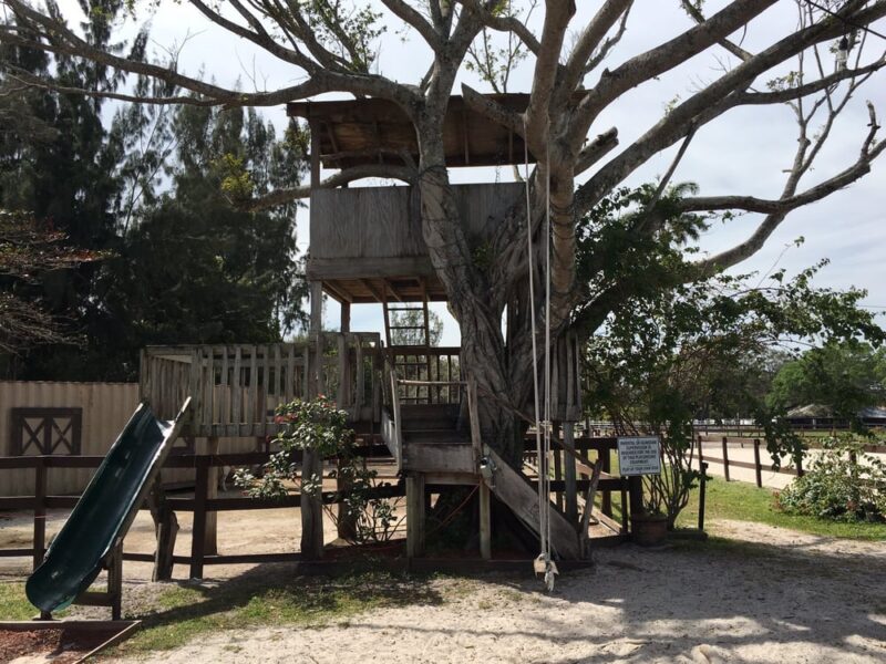 Davie Ranch