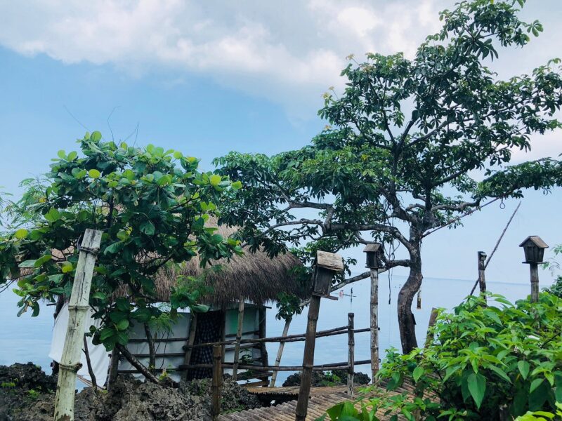 Birdland Beach Club Bolinao Resort