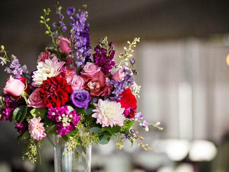 Fairview Metropolitan