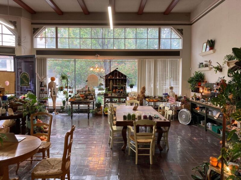 Little Green A Plant Bar