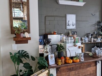 Little Green A Plant Bar