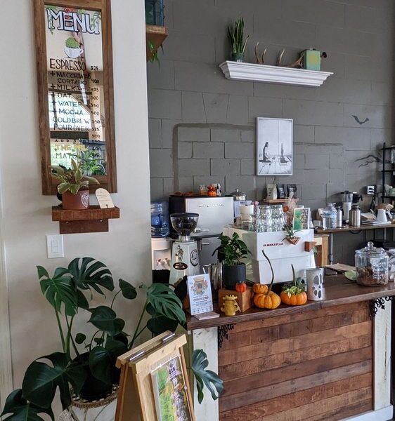 Little Green A Plant Bar