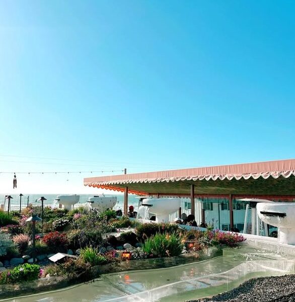 The Beverly Beach Garden