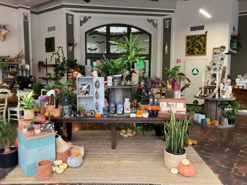 Little Green A Plant Bar