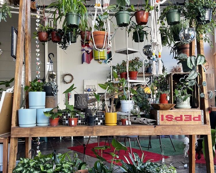 Little Green A Plant Bar