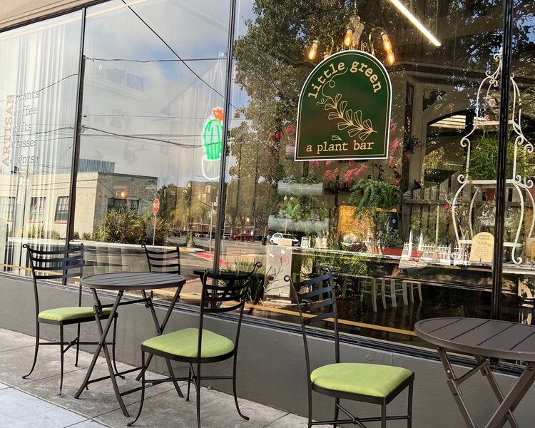 Little Green A Plant Bar