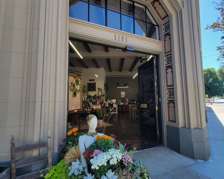 Little Green A Plant Bar