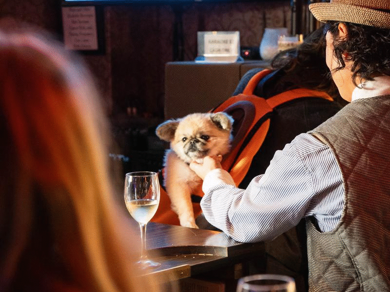 Festa Wine & Cocktail Lounge