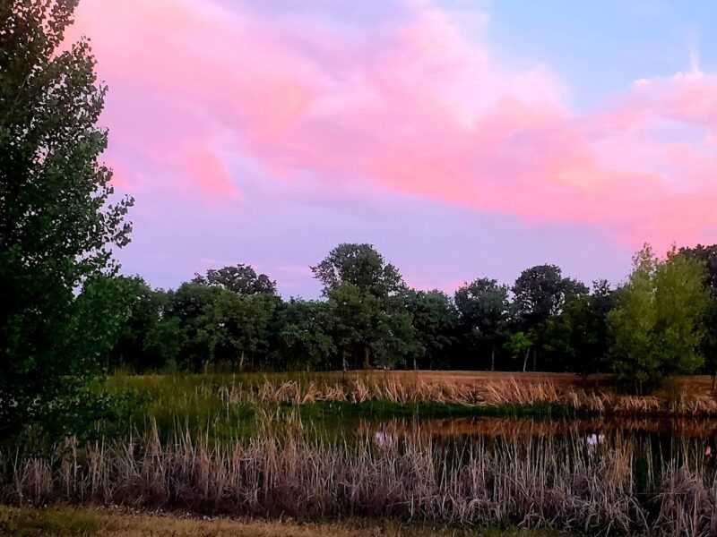 The McConnell Foundation