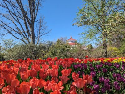 Cincinnati Zoo & Botanical Garden