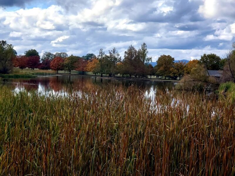 The McConnell Foundation