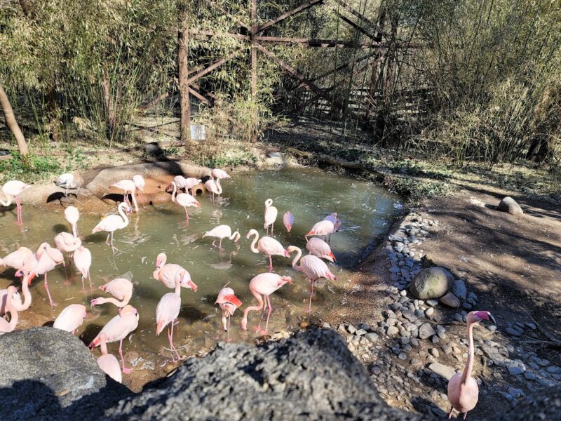 Cincinnati Zoo & Botanical Garden