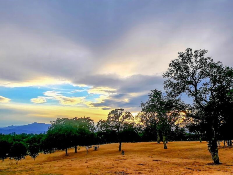 The McConnell Foundation