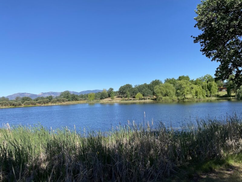 The McConnell Foundation