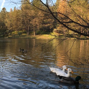 Wonder Valley Ranch Resort