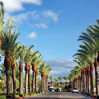 Palm Tree Golf and Event Center