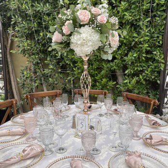 The Secret House of Ivy