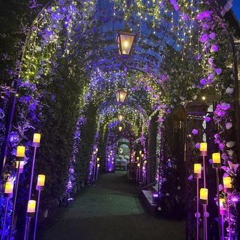 The Secret House of Ivy